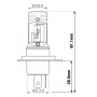 Kit ampoules LED H4