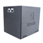 Batterie lithium 12V voiture de collection haute performance