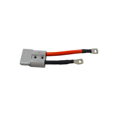 BC LITHIUM 900 12V 1A - Chargeur de batterie et mainteneur intelligent pour batteries 12V lithium de démarrage (Li-Ion / LiFePO4